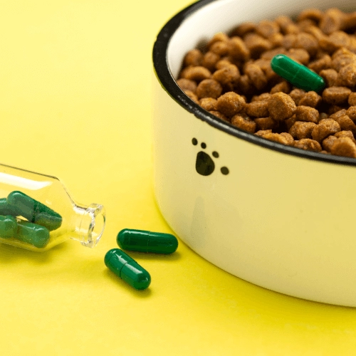 Táplálékkiegészítők/Vitaminok/Élősködők ellen