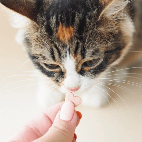 Macska Vitamin