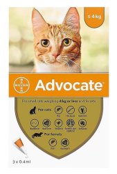 Advocate Spot-On Cat >4kg 1x