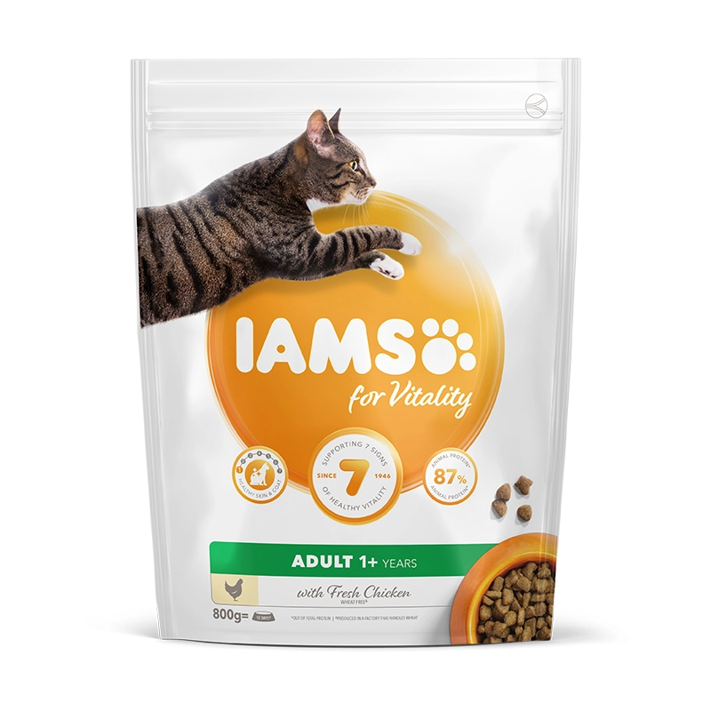 Iams Cat Adult Dental csirke 800gr