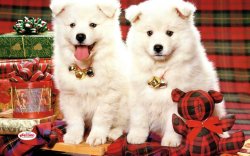 Tál Alátét Karácsonyi Kutyáknak Csúszásgátló