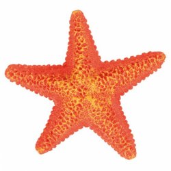 Akvárium Dekor Kerámia Tengeri Csillag   9cm
