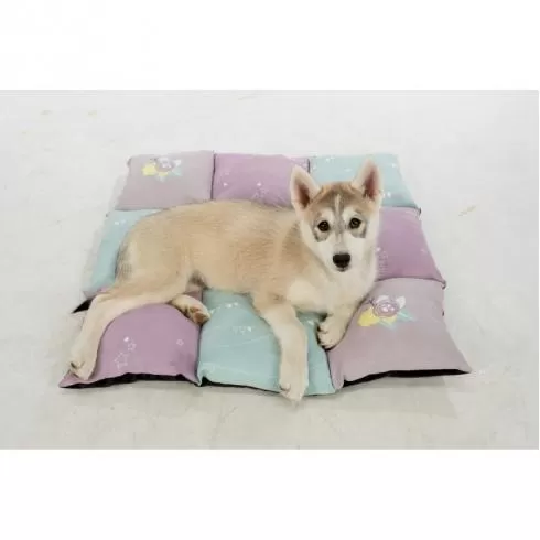 Fekhely Több Lapból Álló Patchwork Junior 60x60cm Világoslila/Menta/Pink