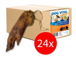 Dog Vital Disznóláb 24db/karton