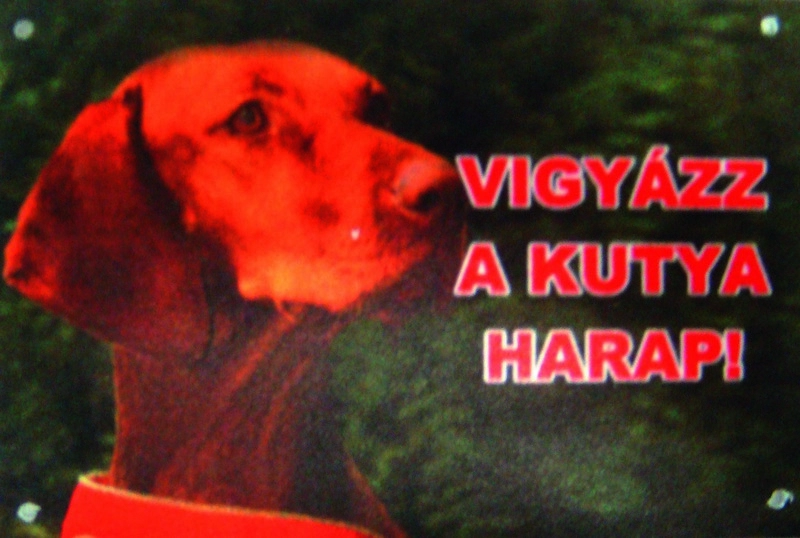 Kutya Harap Tábla A/5 Műanyag