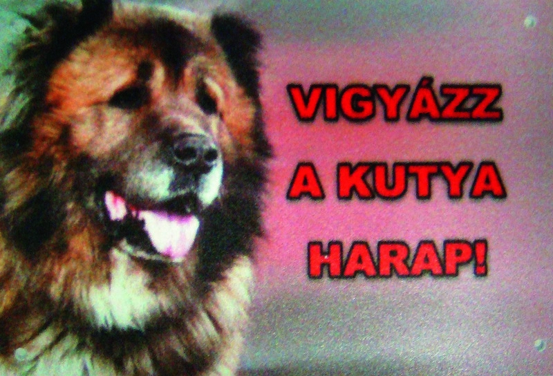 Kutya Harap Tábla Színes 8x12