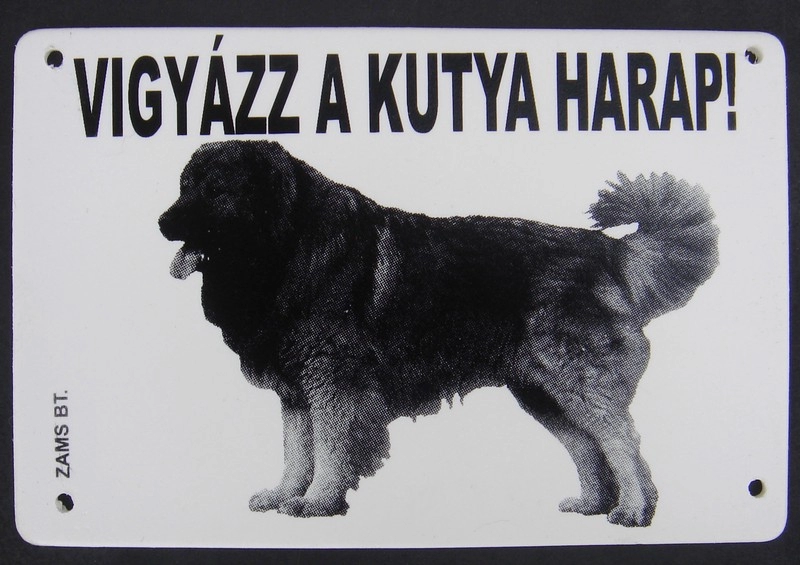 Kutya Harap Tábla Müanyag A/4
