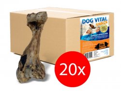 Dog Vital Disznócubák 20db/Karton