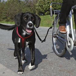 Bicikli Szett Nagy Testű Kutyának