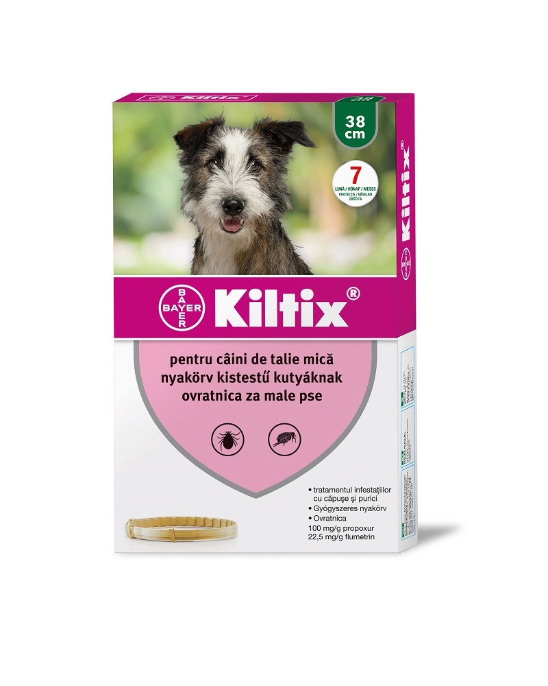 Kiltix kutyanyakörv