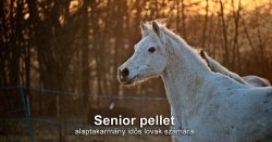 Senior pellet alaptakarmány idős lovak számára 20 kg