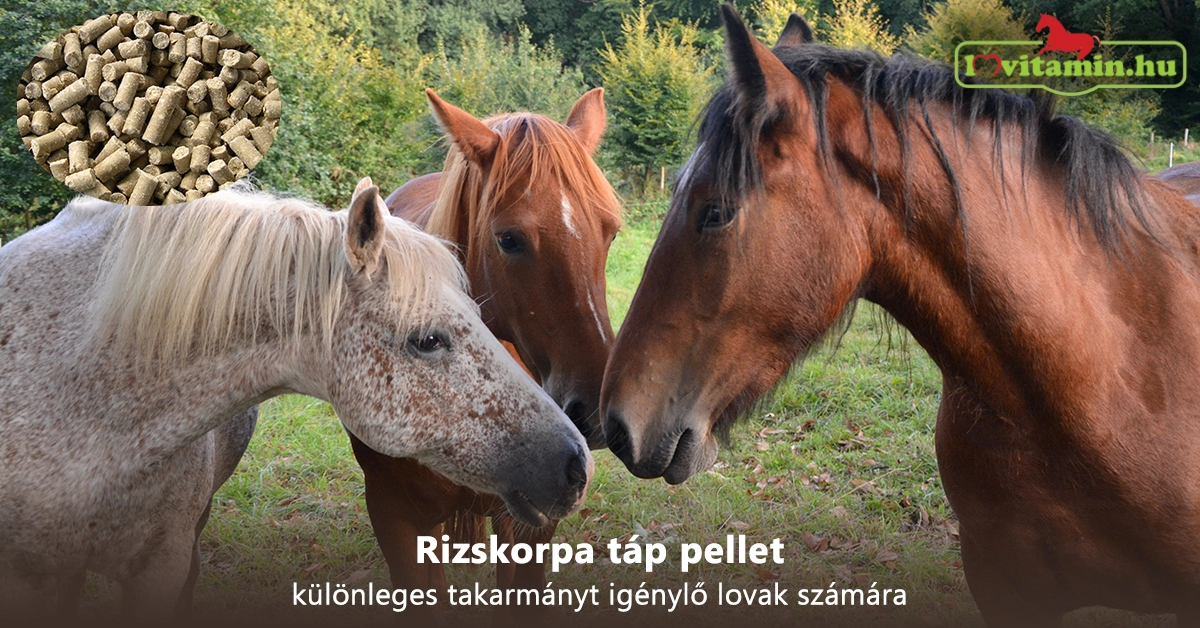 Rizskorpa táp pellet - különleges takarmányt igénylő lovak számára 20 kg
