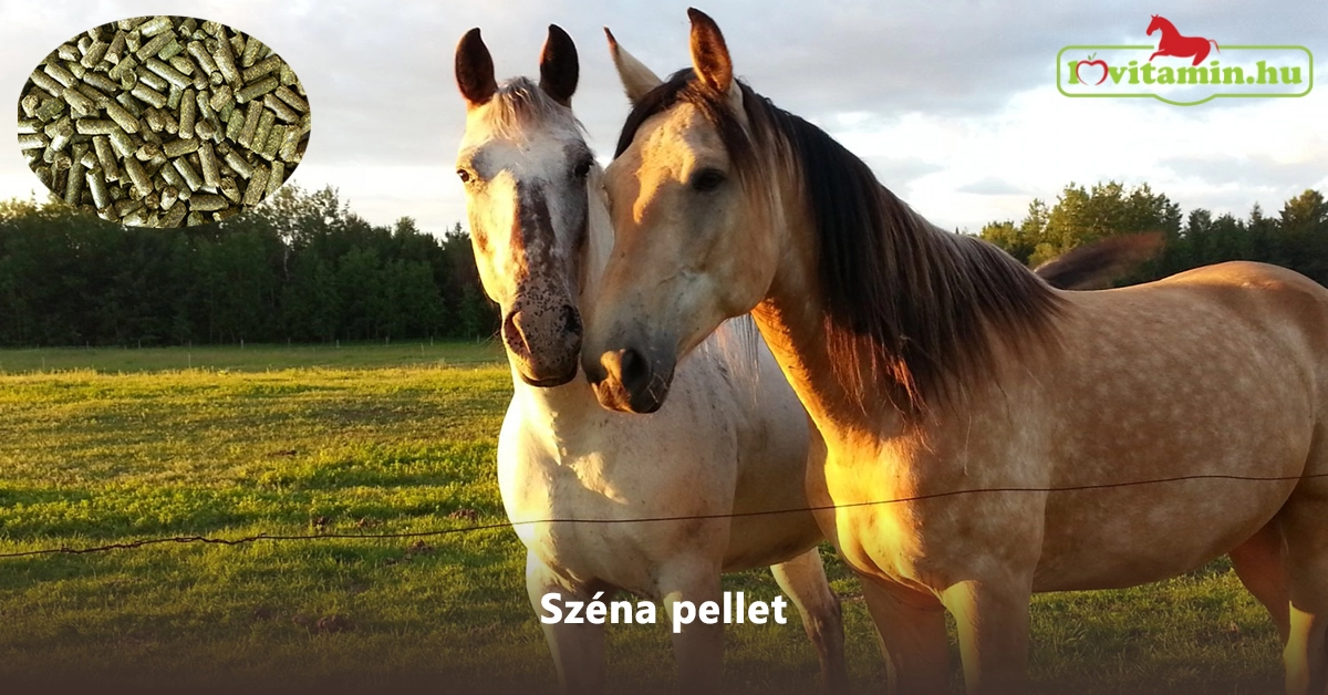 Széna pellet 15 kg