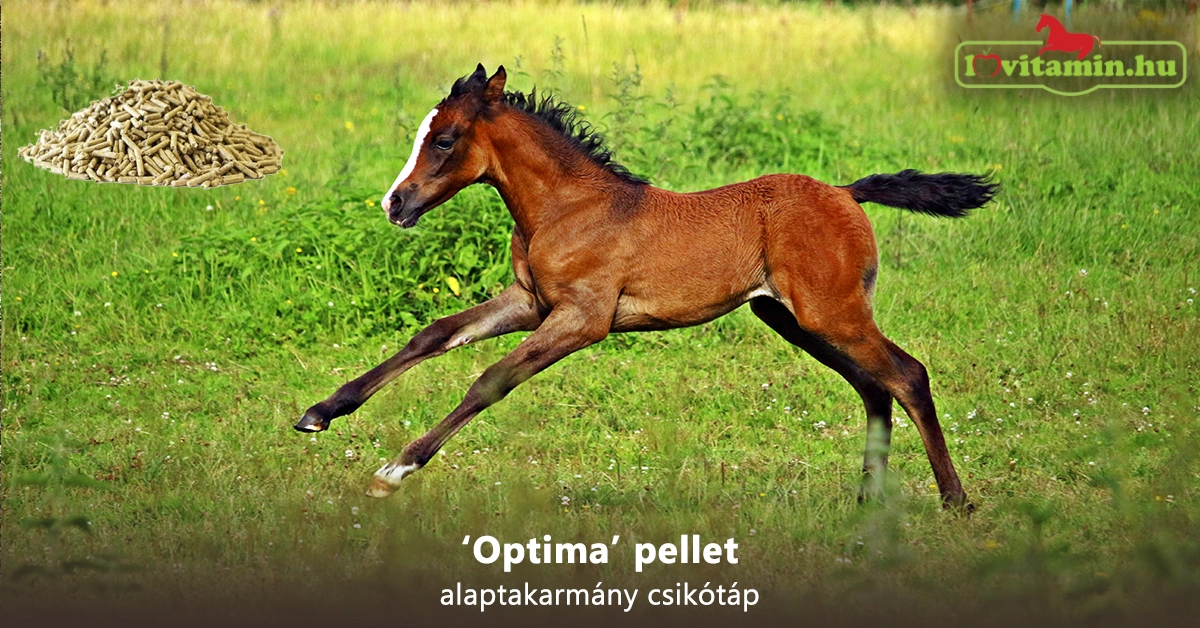 ‘Optima’ pellet alaptakarmány csikótáp 20 kg