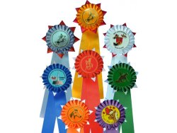 Helsinki - csillagos szalag ()