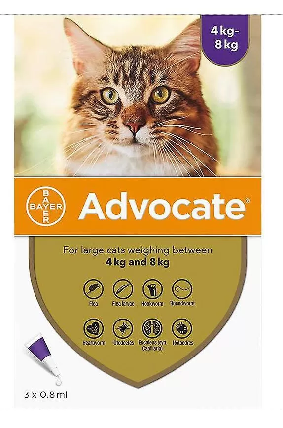 Advocate Spot-On Cat 4-8Kg 1x