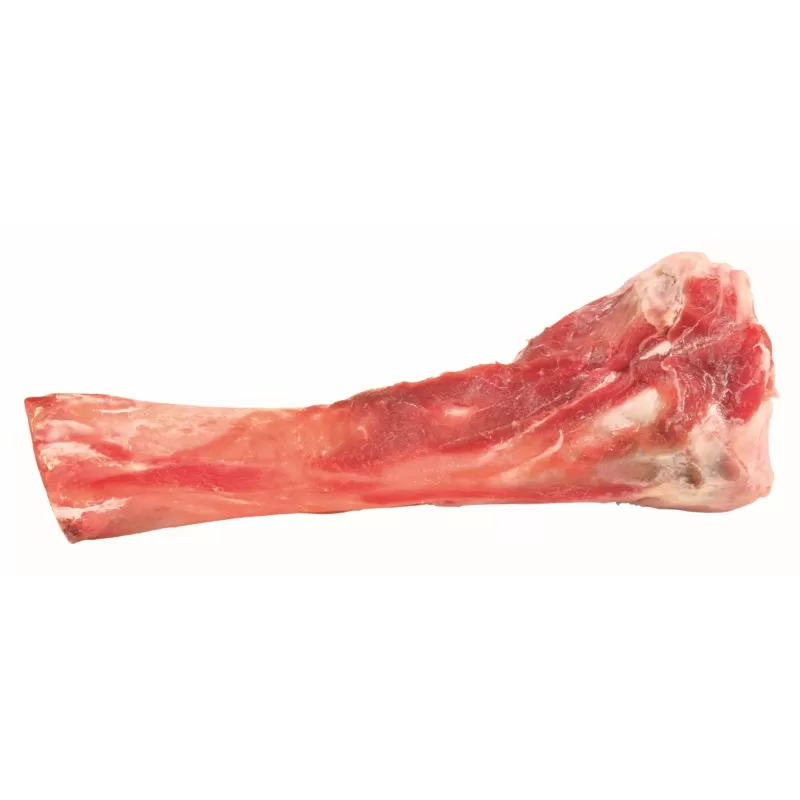 Jutalomfalat Cupák Csont