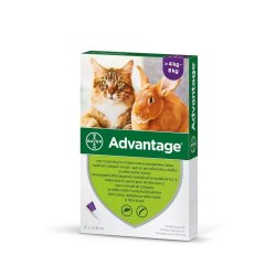 Advantage 80 macska/nyúl 4 kg felett 4x