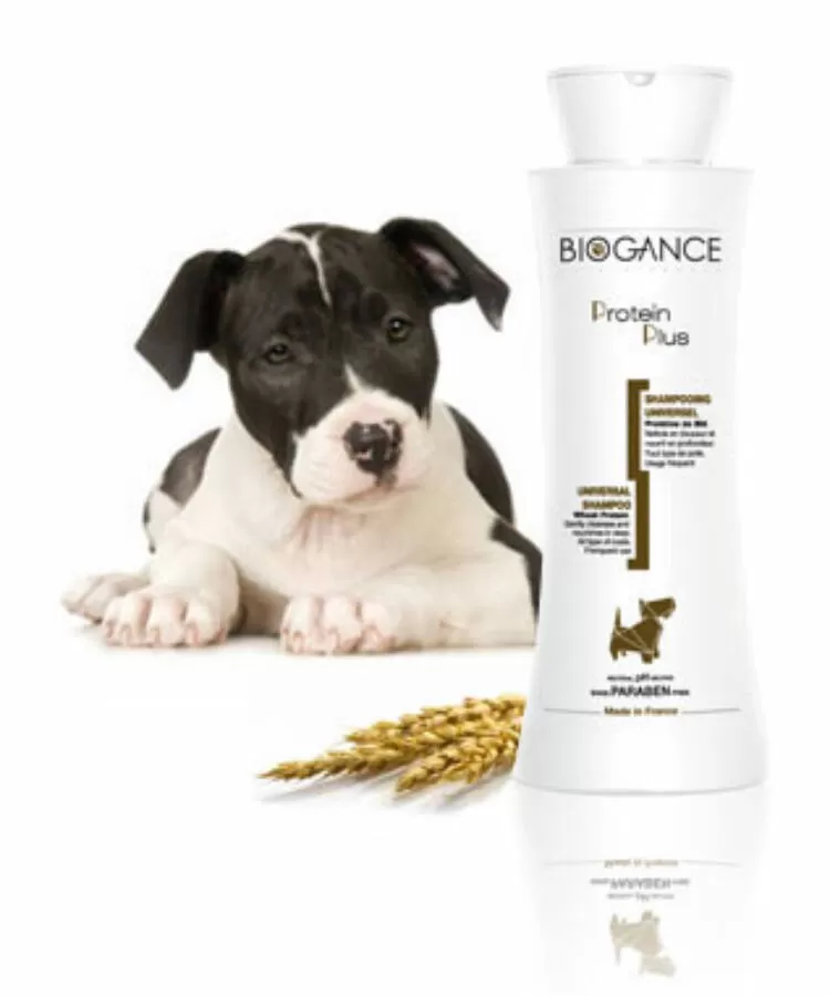 Biogance Protein Plus shampoo 250 ml