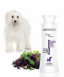 Biogance White snow  shampoo 250 ml
