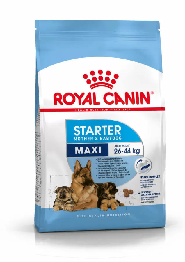 Royal Canin MAXI STARTER 1 kg MOTHER & BABYDOG kutyatáp