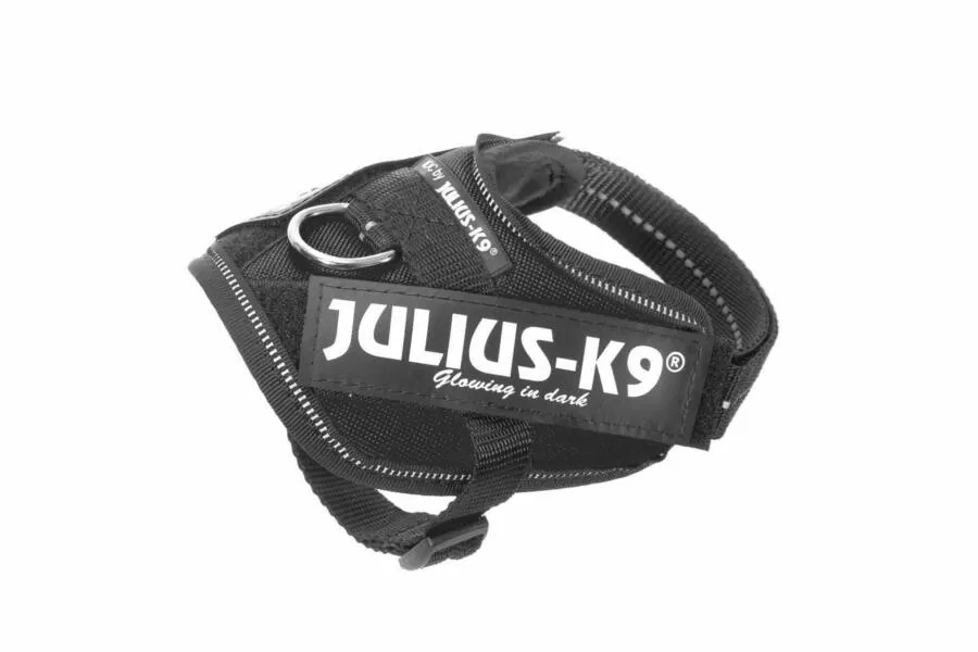 Julius-K9 IDC Powerhám felirattal Baby 1 Fekete