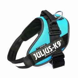 Julius-k9 IDC® Powerhám felirattal méret 2 Aquamarine