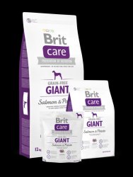 Brit Care Grain-free Giant Salmon & Potato 2x12 kg kutyatáp