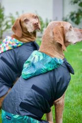 NR Dogs Kutyakabát Fun Jungle M