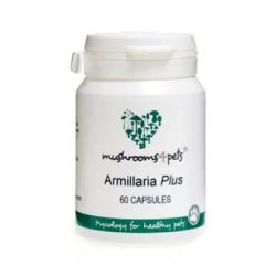 Armillaria Plus (450 mg) 60 db