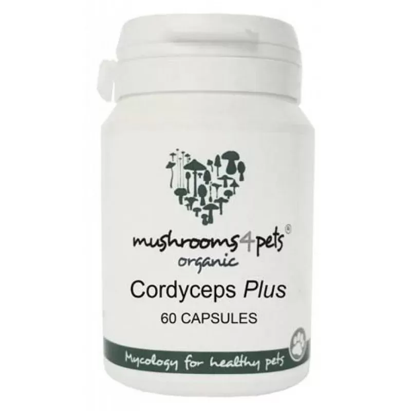Cordyceps Plus (500 mg) Tabletta 60 db