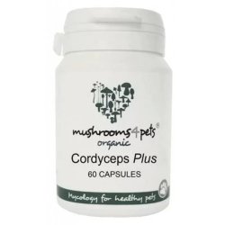 Cordyceps Plus (500 mg) Tabletta 60 db