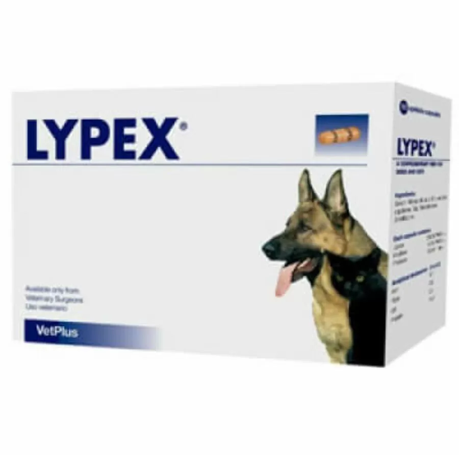 Lypex Kapszula 60 db