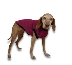 NR Dogs Kutyaruha Fuxia XL