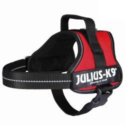 Trixie Hám Julius-K9 Power,  Mini/M: 51–67 cm/28 mm, Piros