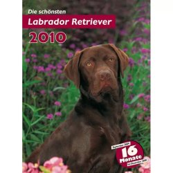 Trixie Naptár Labrador Retrievers