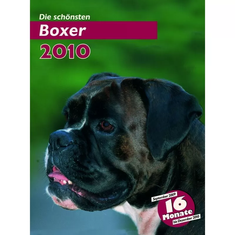 Trixie Naptár Boxer