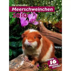 Trixie Naptár Tengerimalac