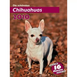 Trixie Naptár Chihuahua