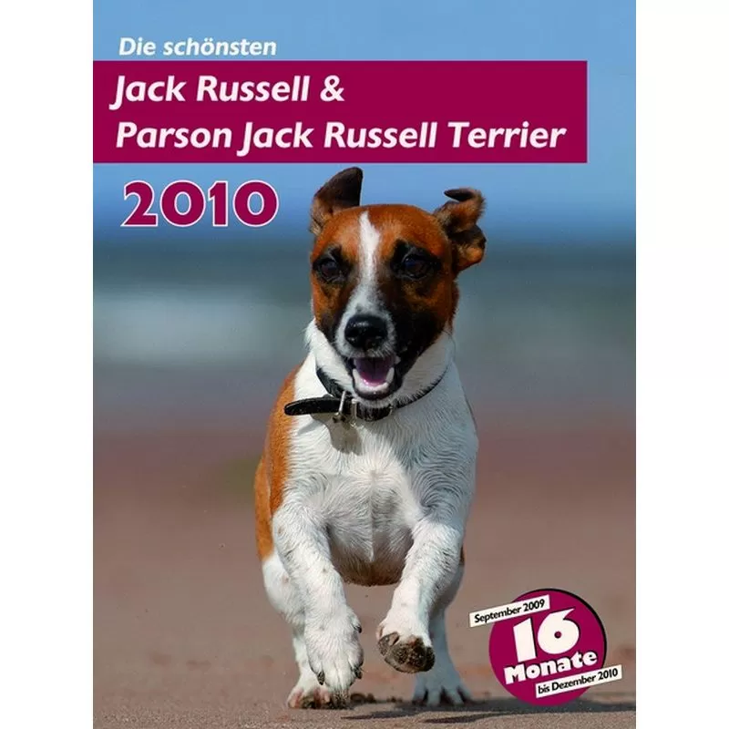 Trixie Naptár Juck Russel Terrier