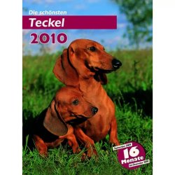 Trixie Naptár Tacskó