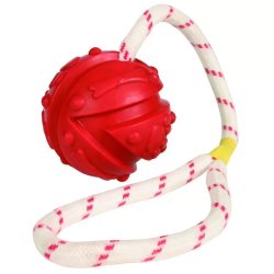 Trixie Játék Labda Kötéllel 7cm/35cm
