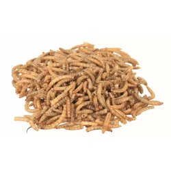 Trixie Hüllő Eledel Szárítotott Lisztkukacok 70g
