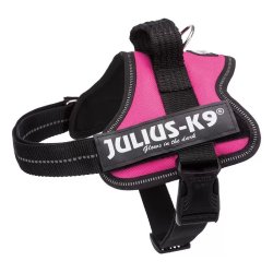 Trixie Hám Julius-K9 Power,  Mini-Mini/S: 40–53 cm/22 mm, Fuchsia