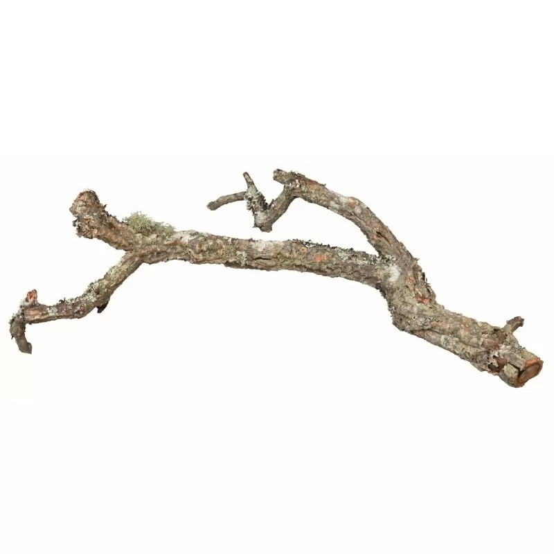 Trixie Terráriumba Vegyes Parafa Ágak, Natúr, 1kg
