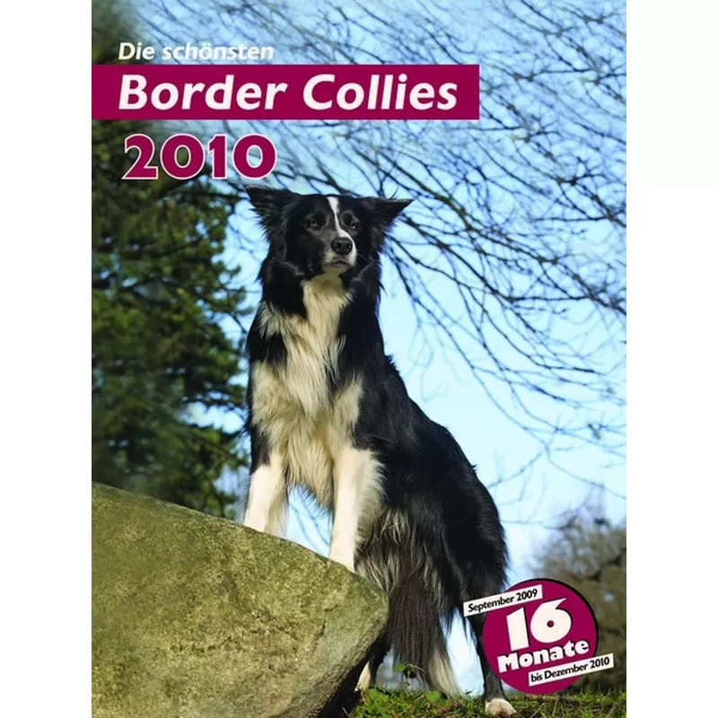 Trixie Naptár Border Collie