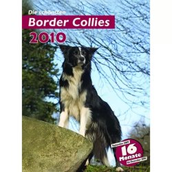 Trixie Naptár Border Collie