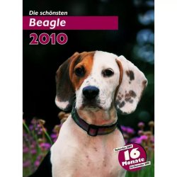 Trixie Naptár Beagle