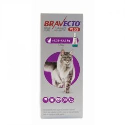 Bravecto Cat Plus spot-on