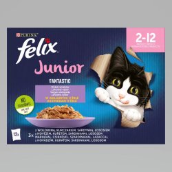 Felix Fantastic Multipack Junior Vegyes Válogatás Aszpikban 12x85g